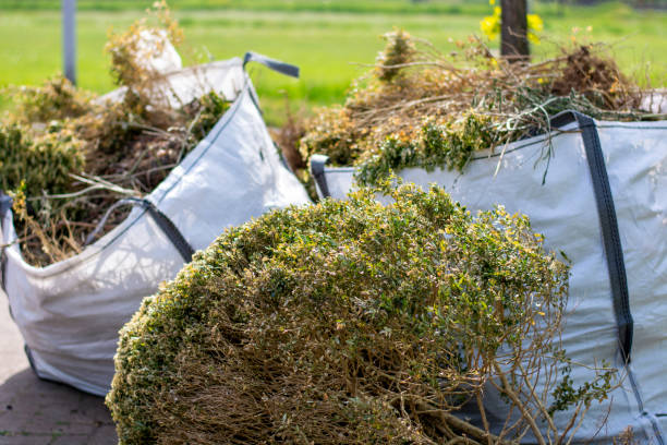 Best Mattress Removal Service  in Ogden, IA